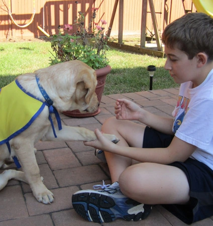 Canine Companions for Independence